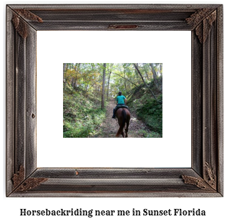 horseback riding near me in Sunset, Florida